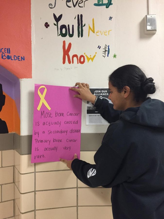 HOSA spreads cancer awareness