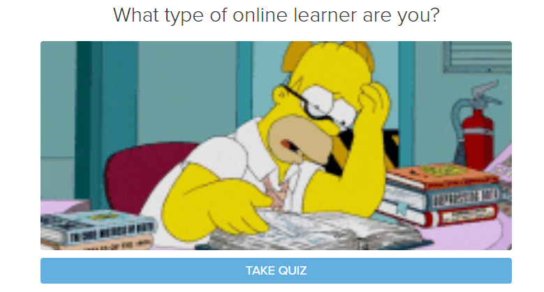 Quiz - What type of online learner are you?