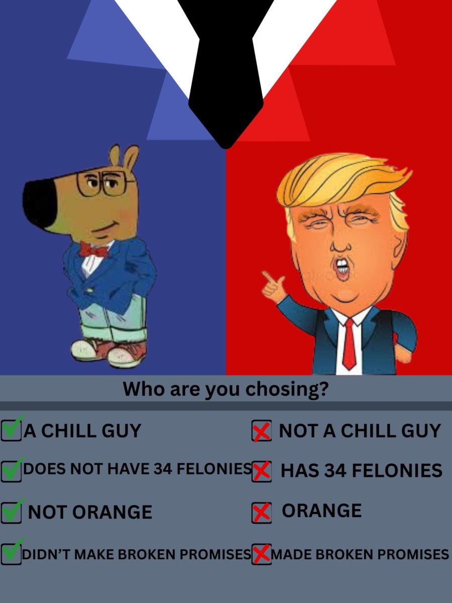 Political Cartoon